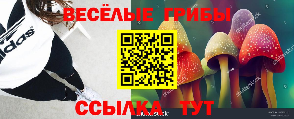 Галлюциногенные грибы прущие грибы  Вход с VPN  Галлюциногенные грибы Magic Shrooms  Нарткала 