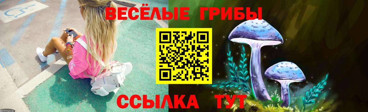Псилоцибиновые грибы Psilocybe Нарткала